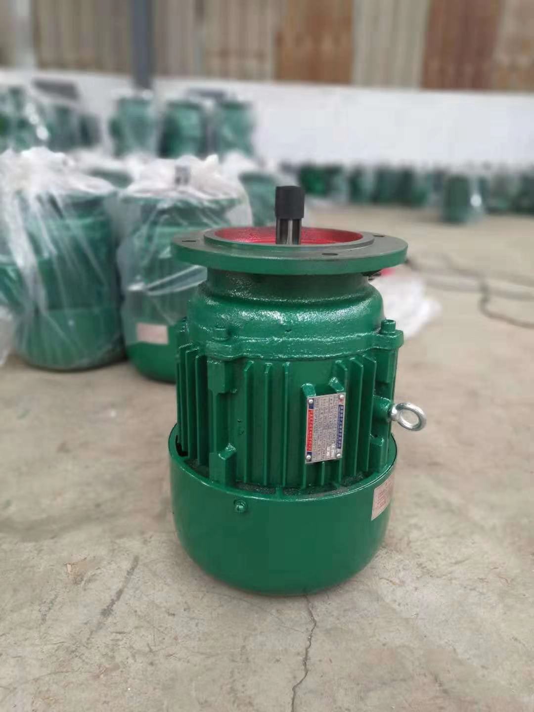 架桥机专用电机