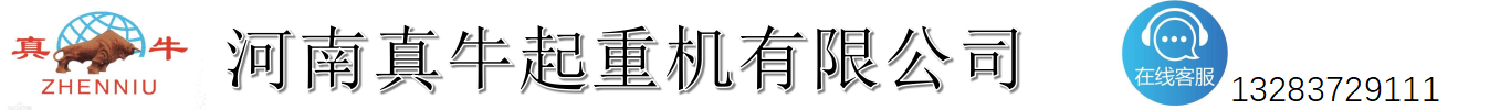 河南真牛起重机有限公司官网_河南真牛电机_真牛起重机